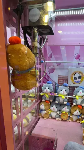 pov: gusto niya talaga sumama #clawmachine #clawmachinewin #cranegame #arcade #tomsworld 