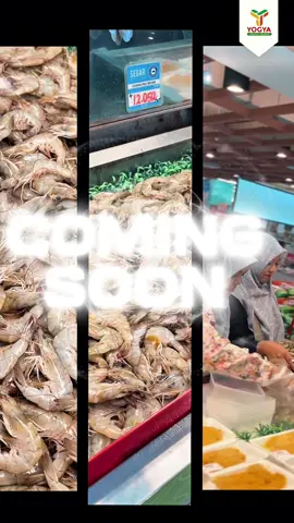 COMING SOON ALL YOU CAN TAKE UDANG PECI BESAR😱‼️ Bingung mau masak apa untuk kumpul bersama keluarga?🤔 Di Yogya Grand Cirebon lagi ada promo ALL YOU CAN TAKE UDANG PECI BESAR lho!😍🎉 🗓️ 30 Agustus 2025 📍 Lantai 2 (Area Fresh Supermarket), Yogya Grand Cirebon Di sini, Yo People bisa AMBIL SEPUASNYA! CUMAN 1 HARI!🤩 Langsung ambil udang sepuasnya dan simpan di tempat yang sudah disediakan!🥳👀 Jadi, tunggu apalagi? Buruan belanja sekarang!🛍️ Belanja hemat hanya di mana??🤔 #yogya #yogyagrandcirebon #yogyagroup #promoyogya