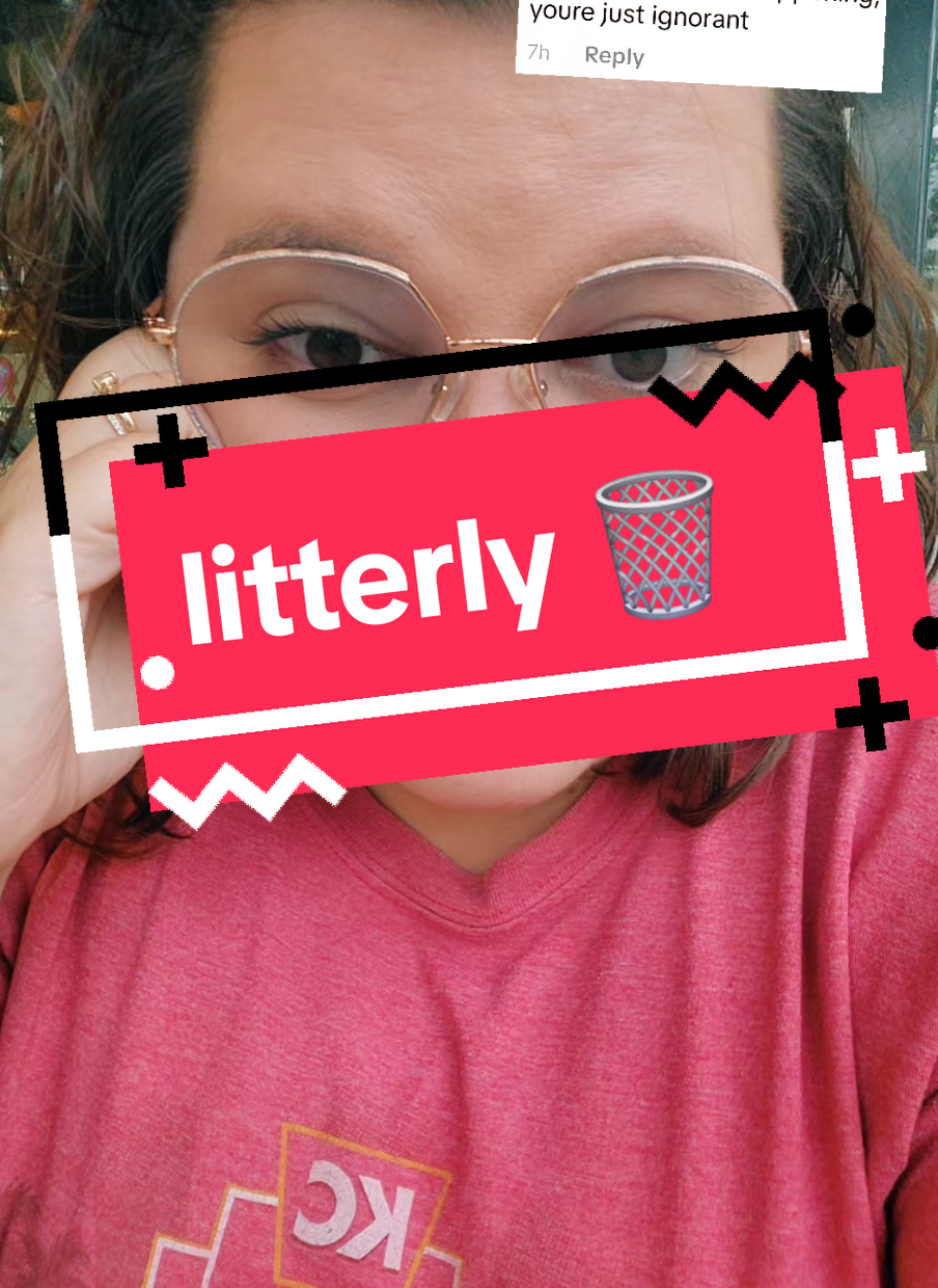 Replying to @bcblondy I'm not going to come after the grammer mistakes because that is generally accepted shorthand, I just think this was funny. I'll let you guess what I think of you now.  #adopteetok #adoptee #ignorant #trisaratalks