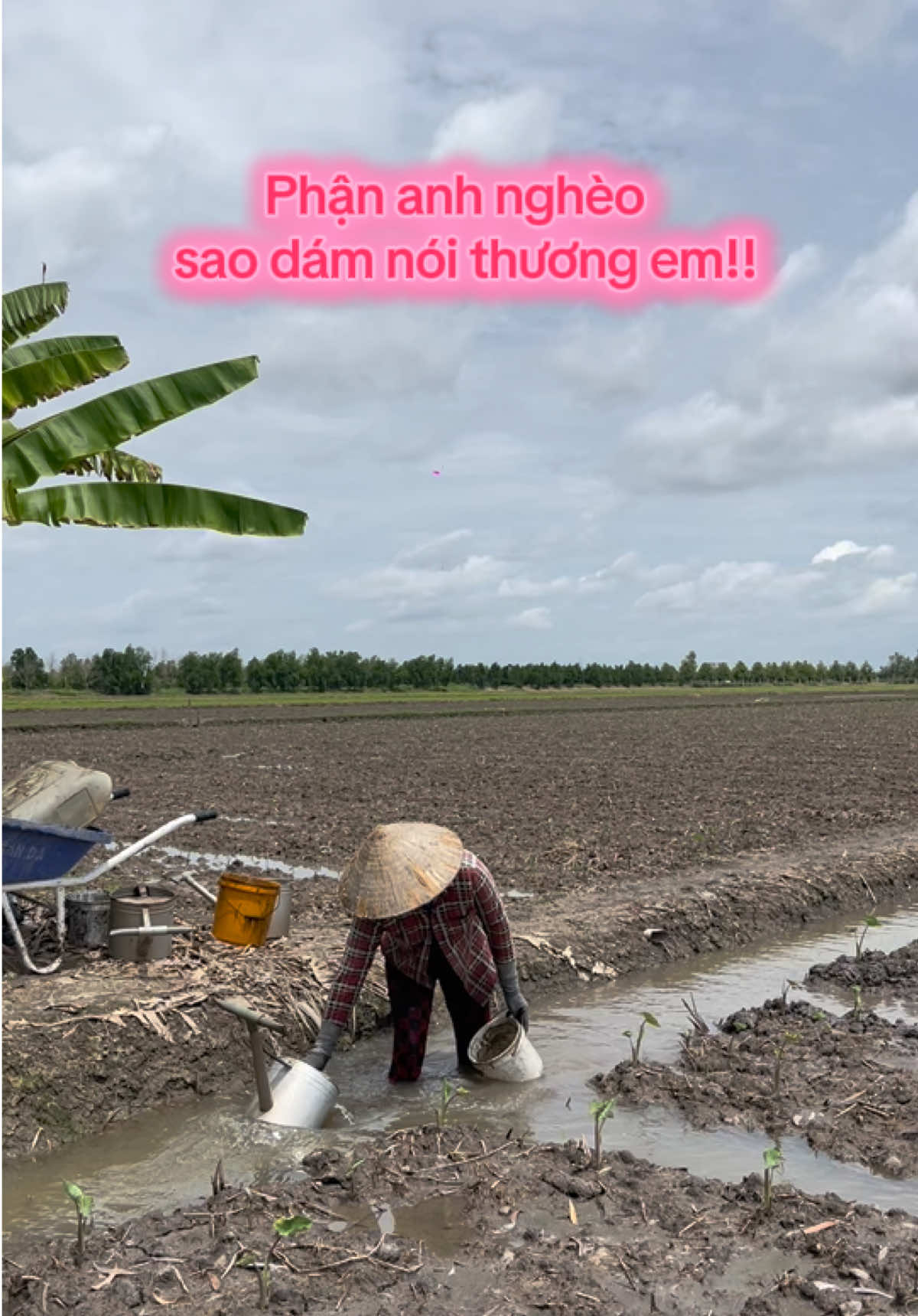👍Người anh lúc nào cũng chân lắm tay bùn, phận anh nghèo sao dám nói thương em👍#huytậplàmnông #HuyAnhNuôi #AnhNuôiVàoBếp #huyreview #66đồngtháp 