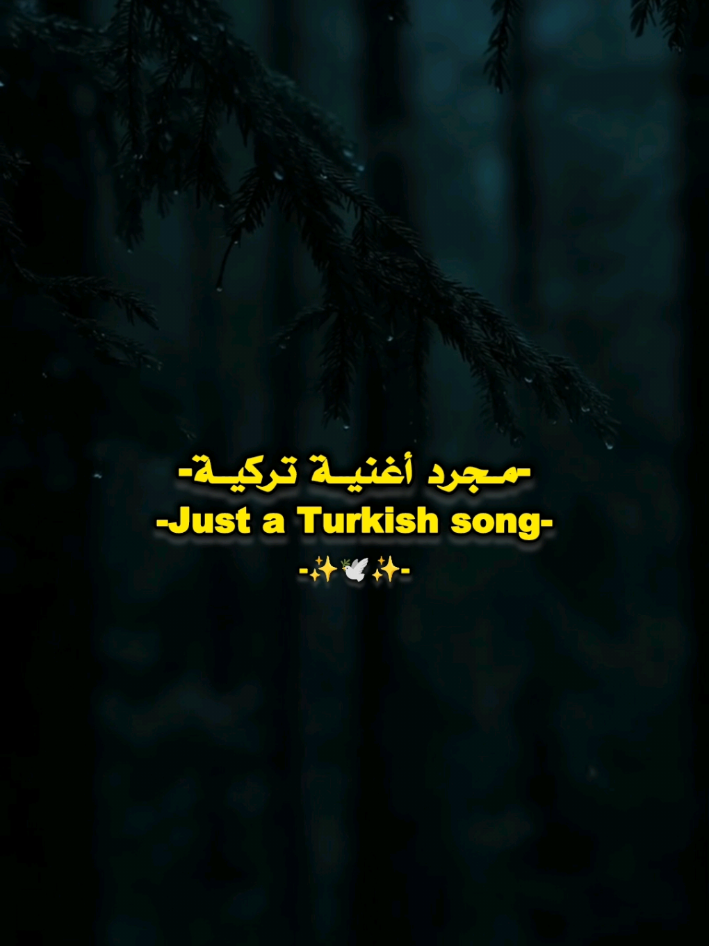 #اغاني #تصميم_فيديوهات🎶🎤🎬 #شاشة_سوداء🖤 #explore #fyp 