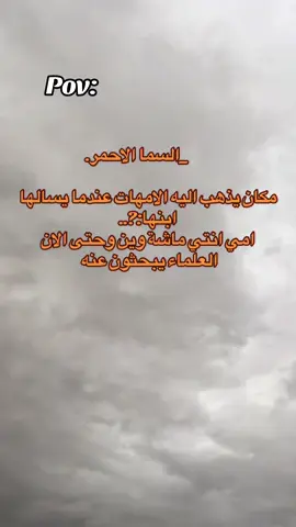 #wd_tmem  #حصل_خير 