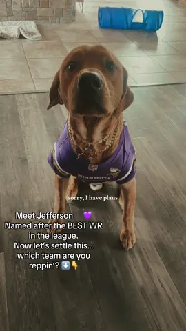 Named after the BEST WR in the league 🐾💜 (yes, I said it). Drop your team below and tell me who you think has the WR1… I’ll wait 👀😂 Let’s see if every fanbase shows up in these comments ⬇️ #SKOL #justinjefferson #nfltok #footballfans #PetsOfTikTok @Vikings @NFL 