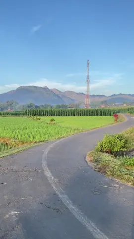🍃#ponorogo24jam #fypシ゚viraltiktok #fypage #fypシ゚ #fyppppppppppppppppppppppp 