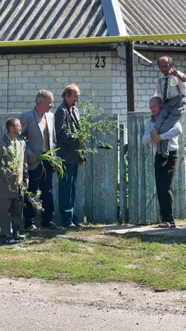 Мой ТГ в шапке профиля