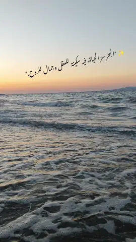 #✨ 