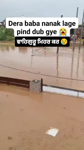 🥺🥺🥺🥺 #punjabi #punjab #flood #wmk 