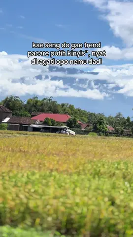 #combineharvester #bimo102ss #putratunggalgrup #gabahgank #putratunggal 