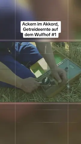 Ackern im Akkord, Getreideernte auf dem Wulfhof #1