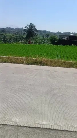jngn pernah merasa cukup memiliki ilmu.terus cari .cari.dan cari sampa km mati  #santri  #salafi  #pasaran  #seminar 