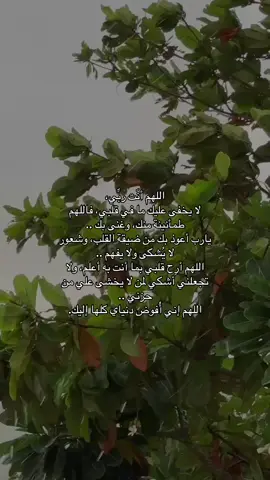 يارب  #fypシ #اكسبلور #foryourpage #explore #اكسبلوررر 