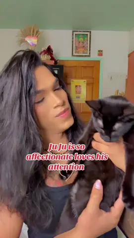 Ju Ju loves his Mama 🐈‍⬛😻 #glamdollzbyolivia #theshaktidancers #indocaribbeangirl🌈🏳️‍⚧️❤️😇 #transgirly🏳️‍⚧️💋 #fypシ゚viral 