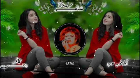 #foziafullsong #foziasoomro_sindhi_sad_status #foziasoomro #foruyou #fozia @lк.гคtђ๏г @𝗔𝗠 𝗔𝗬𝗔𝗭 𝗠𝗔𝗟𝗟𝗔𝗛 @ذيشان  زمان خاصخيلي @𝑾𝑨𝑳𝑰ــ𝑴ــ𝑩𝑹𝑶𝑯𝑰 @✭࿇𝐒𝐀𝐑𝐖𝐀𝐑=𝐁𝐑𝐎𝐇𝐈࿇✭ @Maqbool Autho 