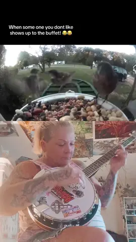 #duet with @Stefanie #tiktok lets share now there is plenty of seeds#fypシ゚viral #FRIENDS #bikermemaw💚🖤👑🏍️ 
