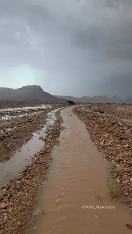 #امطار_الخير 