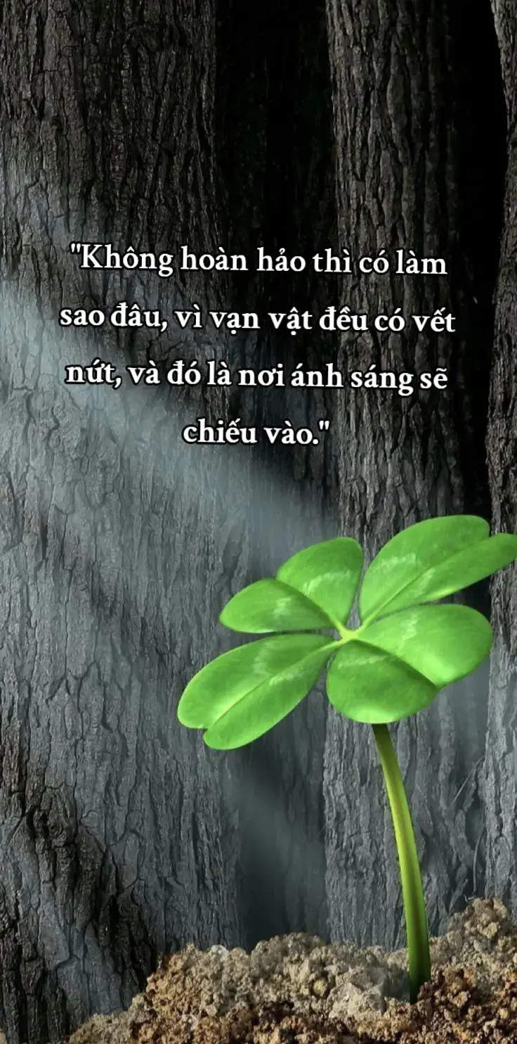 #thithamdemmuon #năng_lượng_tích_cực @Thì thầm đêm muộn. 