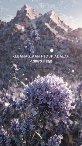 #katakatamotivasi #katabijak #fyp 