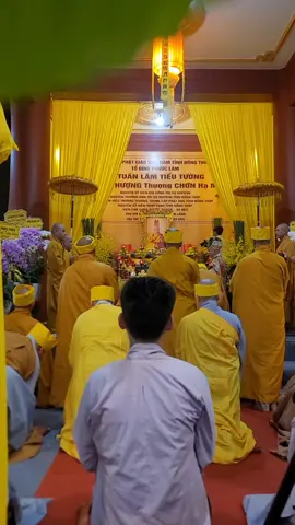 Khóa lễ cúng dường Giác linh - Lễ Tiểu Tường cố Hòa Thượng thượng Chơn hạ Minh - Nguyên Trưởng Ban BTS GHPGVN Tỉnh Đồng Tháp  #PhậtGiáoViệtNam #xuhuongtiktok2024  #nghilephatgiao #nghile #trending 