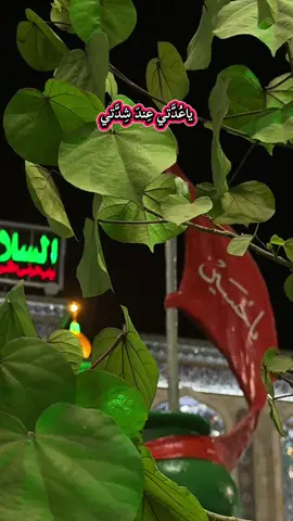 دعاء الجوشن #يارب_فوضت_امري_اليك #اللهم_لك_الحمد_ولك_الشكر #دعاء_يريح_القلوب #الله_اكبر #القران_الكريم 