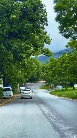 دِن کے اُجالے میں خوابوں خیالوں میں میں تجھے ہر پل دیکھا ‎.  #oldsongs #islamabad #islamabadweather #foryou #viralvideo  ‎