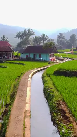 wilujeng wengi sadayana 😍  endah merenah tumaninah.... #kampungsunda #jawabarat #promomakangajian #pyf 