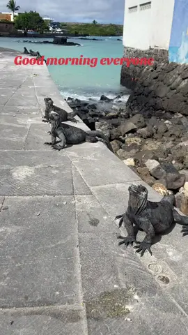 #ecuador🇪🇨 #galapagosislands 