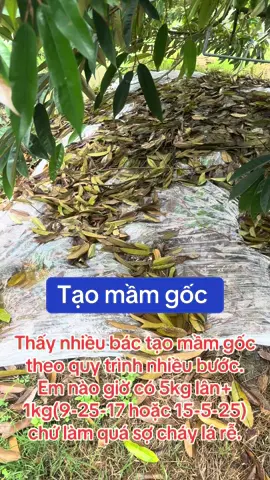 #tiktoklive #sauriengmientay #nguachaylasaurieng #chuhaicailay 