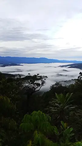 yang setiap hari melintas, Nabire ke Paniai  pasti tau tempat ini 🗻🗻📷