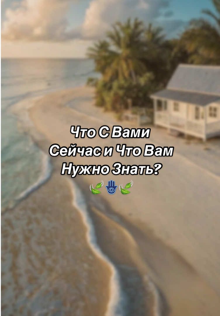 БЕЗ ХЭШТЕГОВ