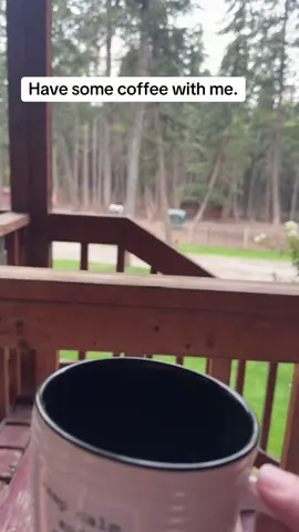 Just having my coffee on the deck looking at the horses. #farmlife #fyp #MentalHealth #genx #life 