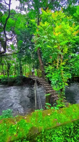 ചുറ്റും ആരും ഇല്ലാത്തപ്പോൾ പ്രകൃതിയാണ് എന്റെ സുഹൃത്ത്. ഓരോ ഇലയും കാറ്റും എന്റെ ഏകാന്തതയിൽ എന്നോട് സംസാരിക്കുന്നു... 🍃🌴🌱🌿☘️🍂🌼✨