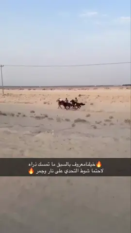 اللي ما عنده سبوق يموت حي🔥🔥.        #خيل_وخياله🐎 #🥇🥇🏆🏆 🥇#سبيع_الغلباء 