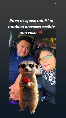 #Meme #MemeCut #CapCut 