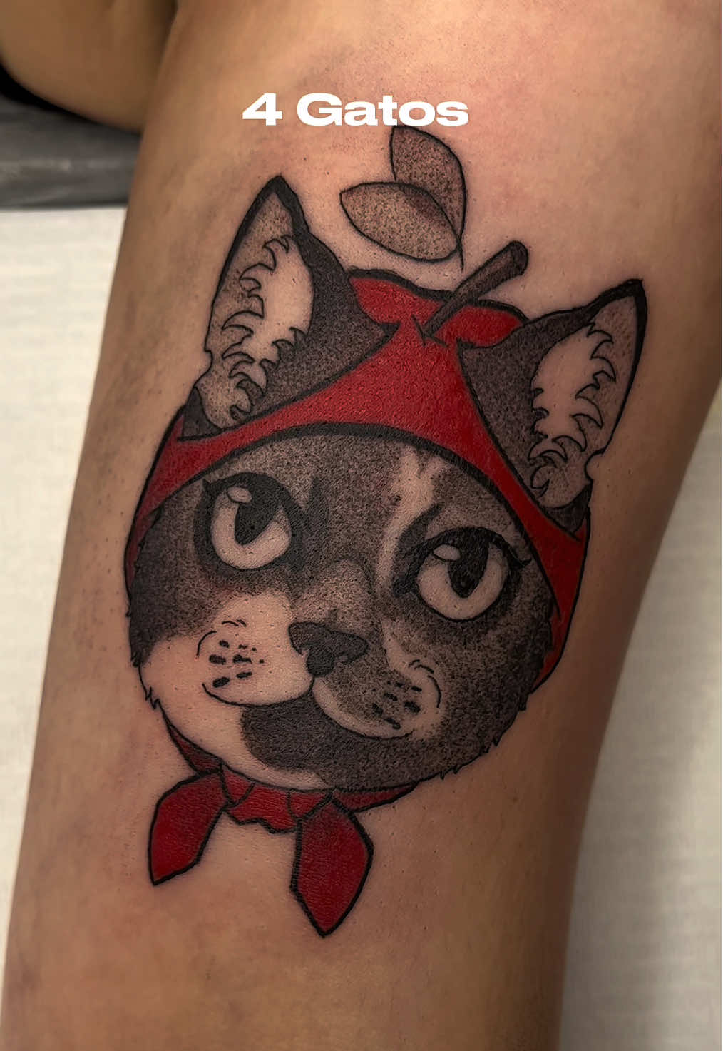 Já perdi a conta de quantos foram.  Será que consigo chegar nos 100?  • • • #cat #cattattoo #catoftheday #catofinstagram #catlover      