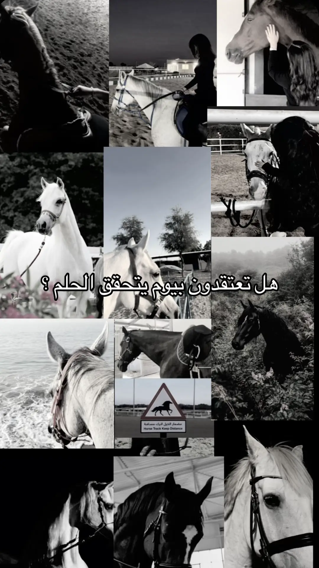 #dream #horsegirl #horseriding #foryou #fyp 