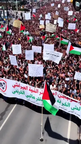 Apoyo a la paz: manifestaciones en Australia #Noticias #Manifestaciones #ÚltimasNoticias #NoticiasDeHoy