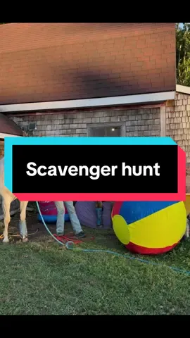 This is such a fun thing to do with your horse!!! It’s not too late to sign up! #horse #challenge #scavengerhunt #picture #fun 