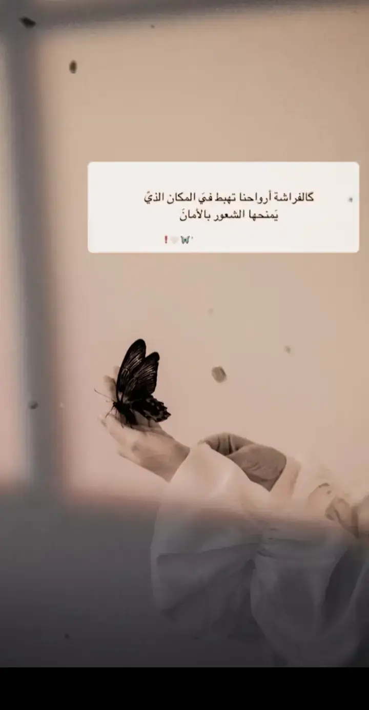 #اقتباسات_عبارات_خواطر🖤🦋❤️ #اكسبلورexplore #يارب_فوضت_امري_اليك #ستوريات_منوعة🔥♥️ #مالي_خلق_احط_هاشتاقات 