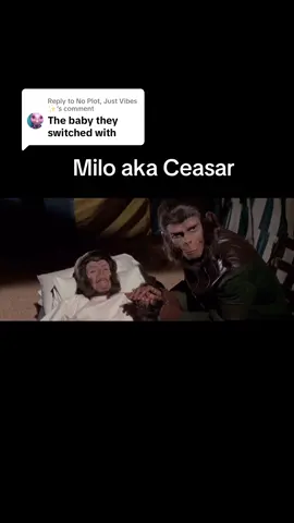Replying to @No Plot, Just Vibes ✨ these movies are actually so good originals and the reboot series #foryou #fyp #foryou #planetoftheapes #escapefromtheplanetoftheapes #movies 