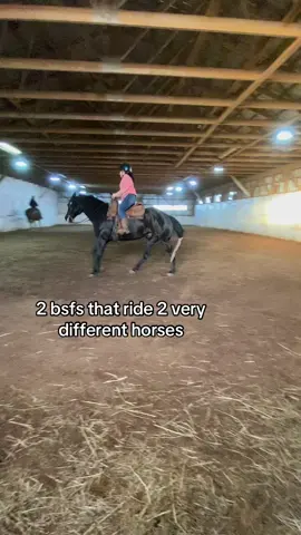 @Kiana! #fyp #viral #horse 