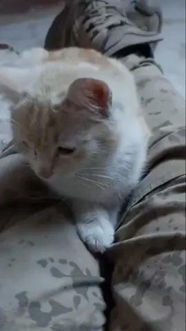🥰🥰🥰🥰