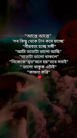 শুকতারা#ফরইউতে_দেখতে_চাই @❤️‍🩹⃝✿࿐forhan❤️‍🩹⃝✿࿐ 