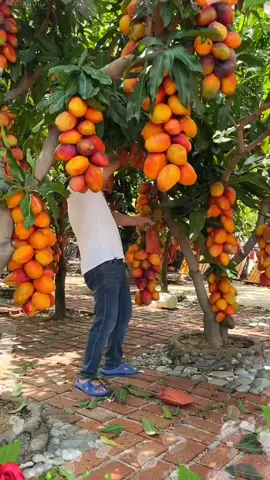OMG😱🥰🔥💥#fruit #fruits #threefarmers #fyp #asmr #foryou #happy 