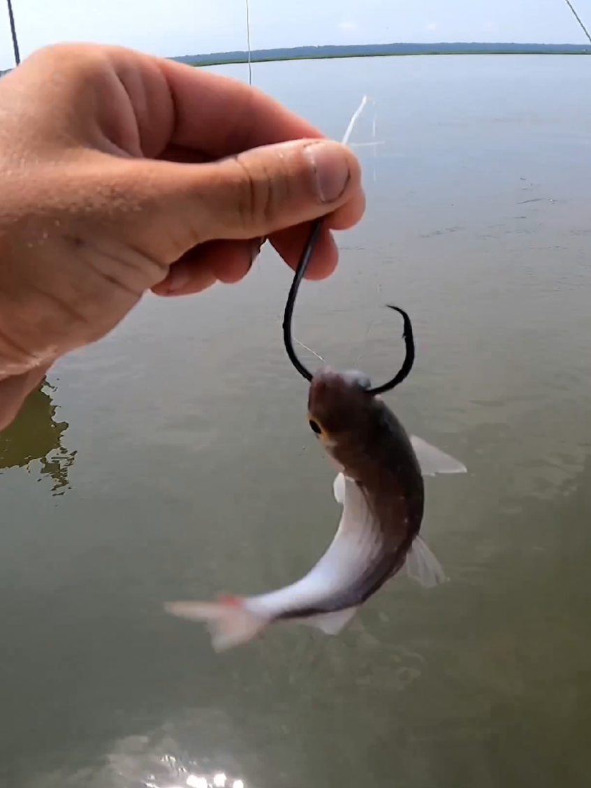 #fyp #bigfish #fishtok #fishing #uglystik 
