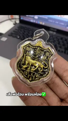 เสือพ่อไฉน #มาแรงในtiktok #เสือหัวขาดพ่อไฉน #ดําดื้อแดงเกเร 