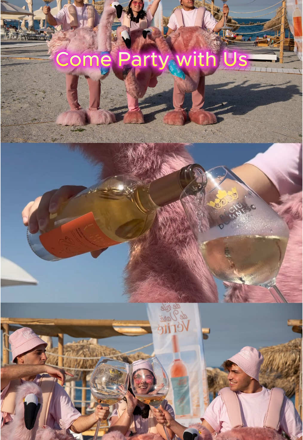 Normal că încă nu s-a terminat vara 💕🥂 #365deziledevara #LaVidaEnRose #flamingolamare #litoralulromanesc #romania #roseverite #beciuldomnesc #funny #fyp 