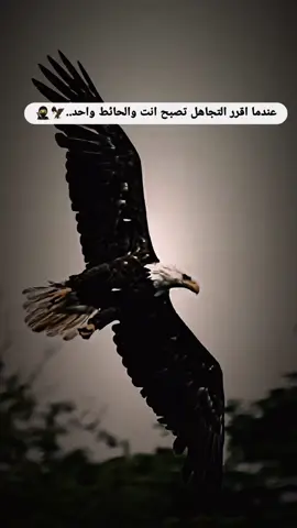 #عباراتكم_الفخمه📿📌 #لايك__explore___ #🥷👌 