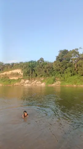 MasyaAllah 13 tahun saya tinggal d kuansing baru ini saya melihat air Kuantan sejernih ini😍😍 semoga kelak anak cucu kita bisa merasakan air Kuantan sejernih ini untuk seterus'y aamiin😇 #fypシ゚viral  #sungaikuantan  #sungaijernih 
