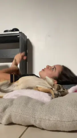 #dog 