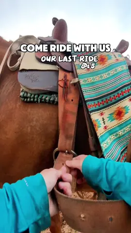 Ride my horse with me #horses #horsetraining #horsebackriding #horseriding #creatorsearchinsights 